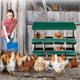 thumbnail image 2 of Caja Nido para Gallinas, 8 Compartimentos, Caja con Patas Metálicas, Caja Rodante para Huevos con Tapa Protectora, 2 of 7