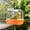 🌺Orange_Base#147, variant on Bird Bath, Cage Hanging Bird Bathtub with Non Slide Bathing Pool, Spatter Guard Lid, Transparent Observation Window, Easy Clean Plastic Tub