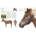 thumbnail image 4 of DK Pet Encyclopedias The Horse Encyclopedia, (Hardcover), 4 of 6
