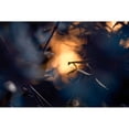 thumbnail image 3 of Bravin, Fabien 24x17 Black Modern Framed Museum Art Print Titled - Wormhole Distorsion, 3 of 5