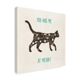 thumbnail image 2 of Trademark Fine Art 'Otomi Cats IV' Canvas Art by Veronique Charron, 2 of 3