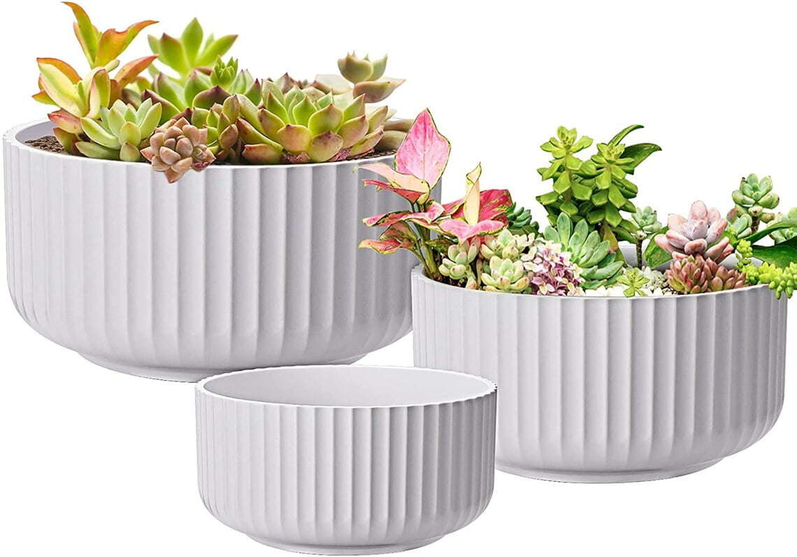 6" Large Succulent Planter Pot White Shallow Ceramic Bowl with Bamboo Saucer 