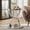 Silver, variant on S-HOME Modern 19.69 Inch Glass Side Table with Dual Tiers Gray Tempered Glass and Metal Ring Frames Design, Bedside Accent Table, Silver
