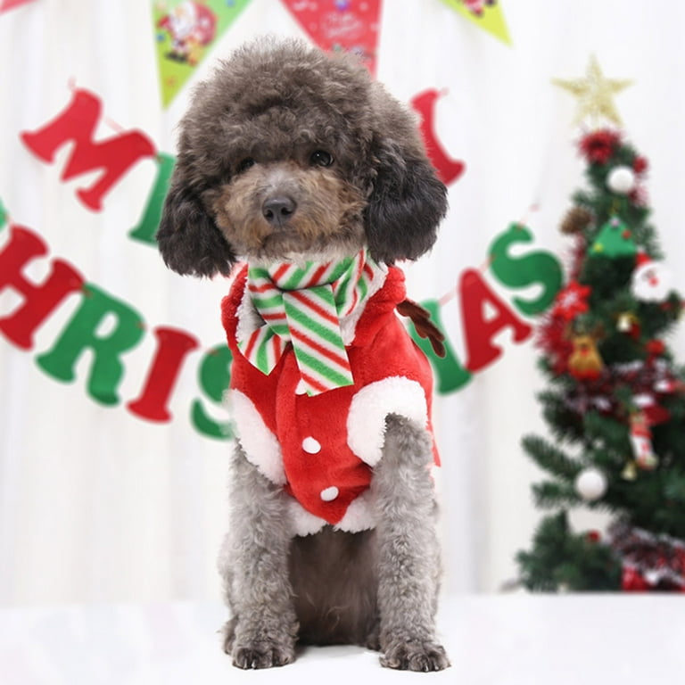 Next christmas dog sales jumpers