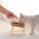 thumbnail image 1 of Tazón de comida para perros y gatos, elevado, inclinado, transparente, hierro dorado, tazón individual, 1 of 7