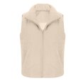 thumbnail image 3 of Puntoco Chaqueta Informal De Lana De Cordero Con Bolsillos Sólidos Para Mujer, Para Otoño E Invierno, 3 of 6