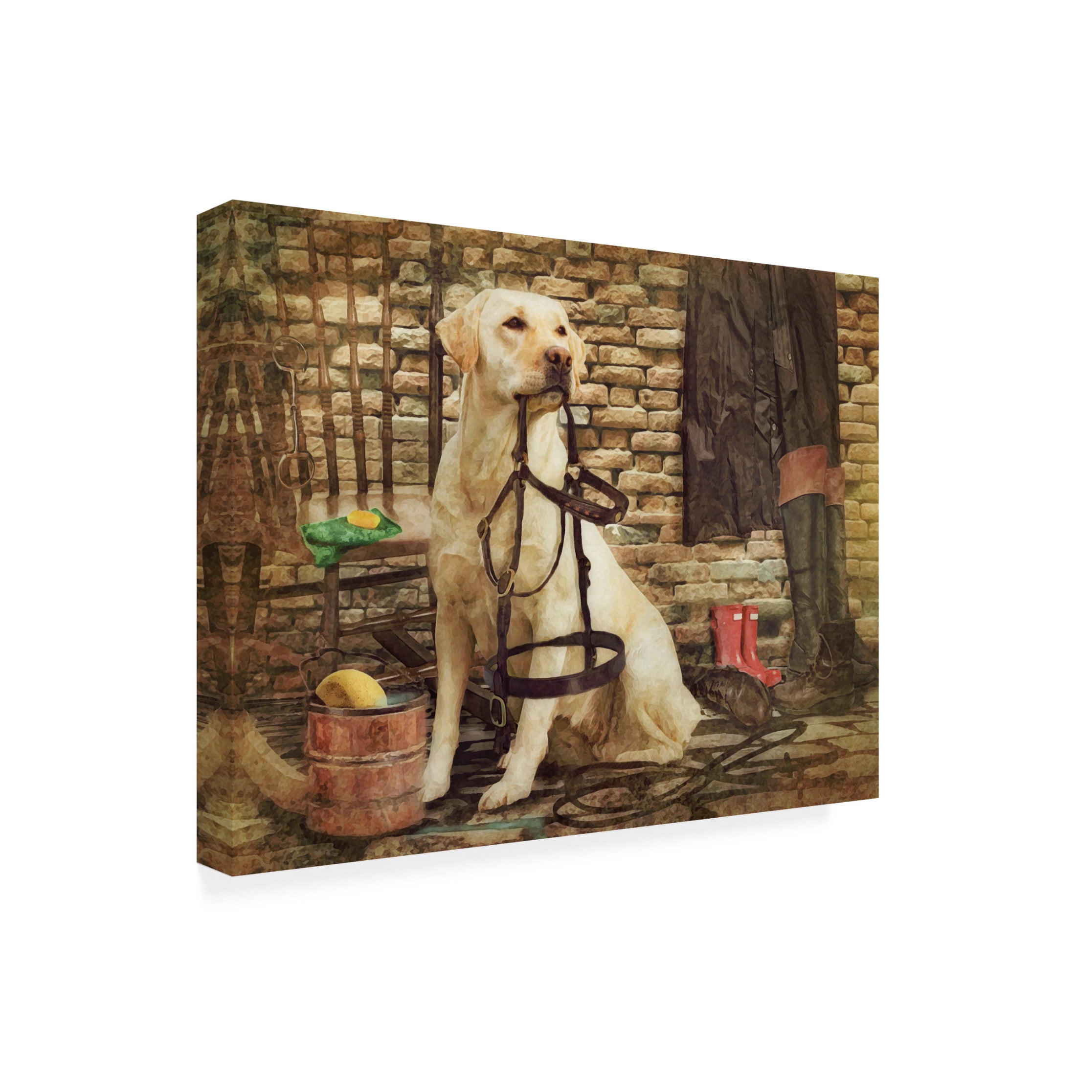 Canvas Wall Art - Trudi Simmonds 'The Tack Room' Wall Art for Living Room, Bedroom, or Office Décor by Trademark Fine Art - 47 x 35 Inches