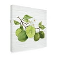thumbnail image 2 of Trademark Fine Art 'Citrus Garden VII Shiplap' Canvas Art by Kathleen Parr McKenna, 2 of 3
