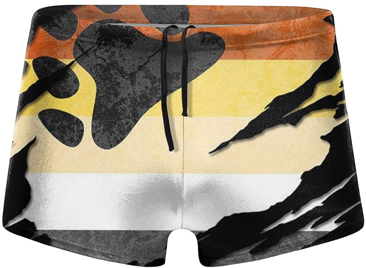 Gay Bear Pride Flag Men's Boxer Briefs 