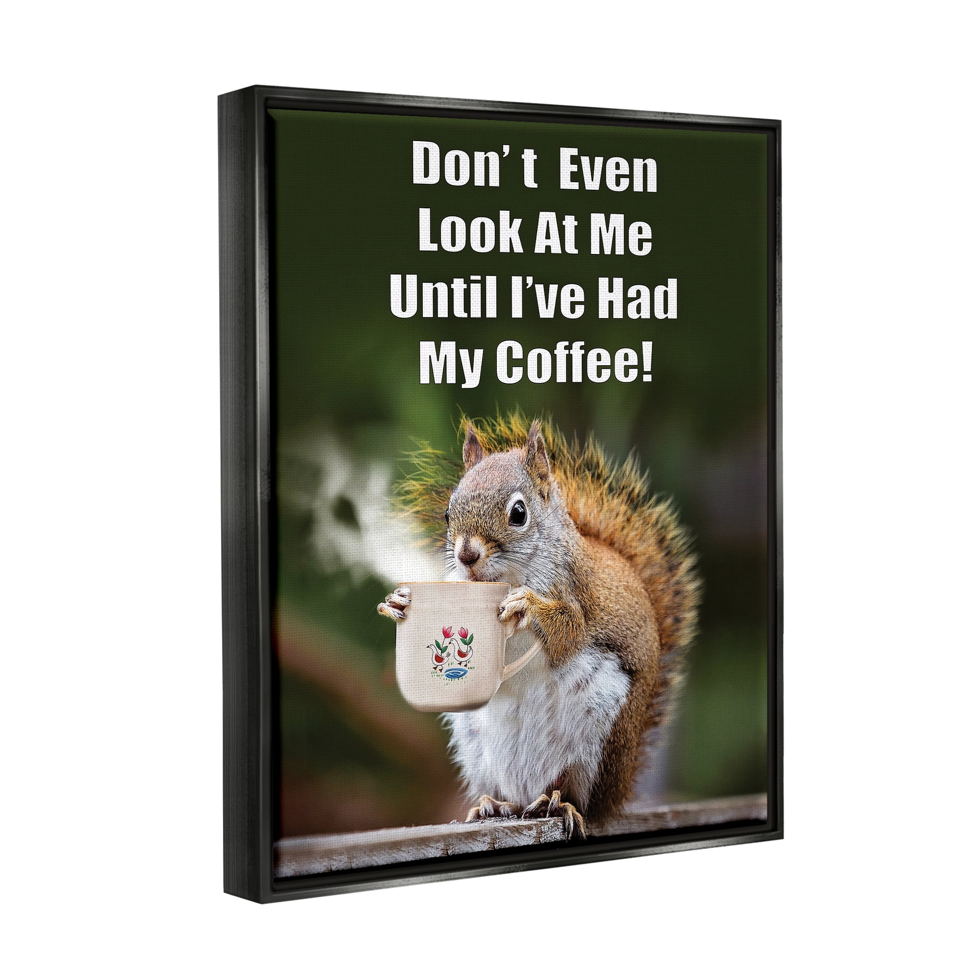 Stupell Industries Funny Squirrel Coffee Phrase Animals & Insects Painting Black Floater Framed Art Print Wall Art, 17 x 21
