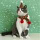 thumbnail image 5 of Jacenvly - Nuevos adornos navideños para árbol de Navidad para mascotas, conjunto de bufanda de lana para cachorros, collar, gorro estéreo con bolas de pelo, conjunto con patrones de copos de nieve a, 5 of 7