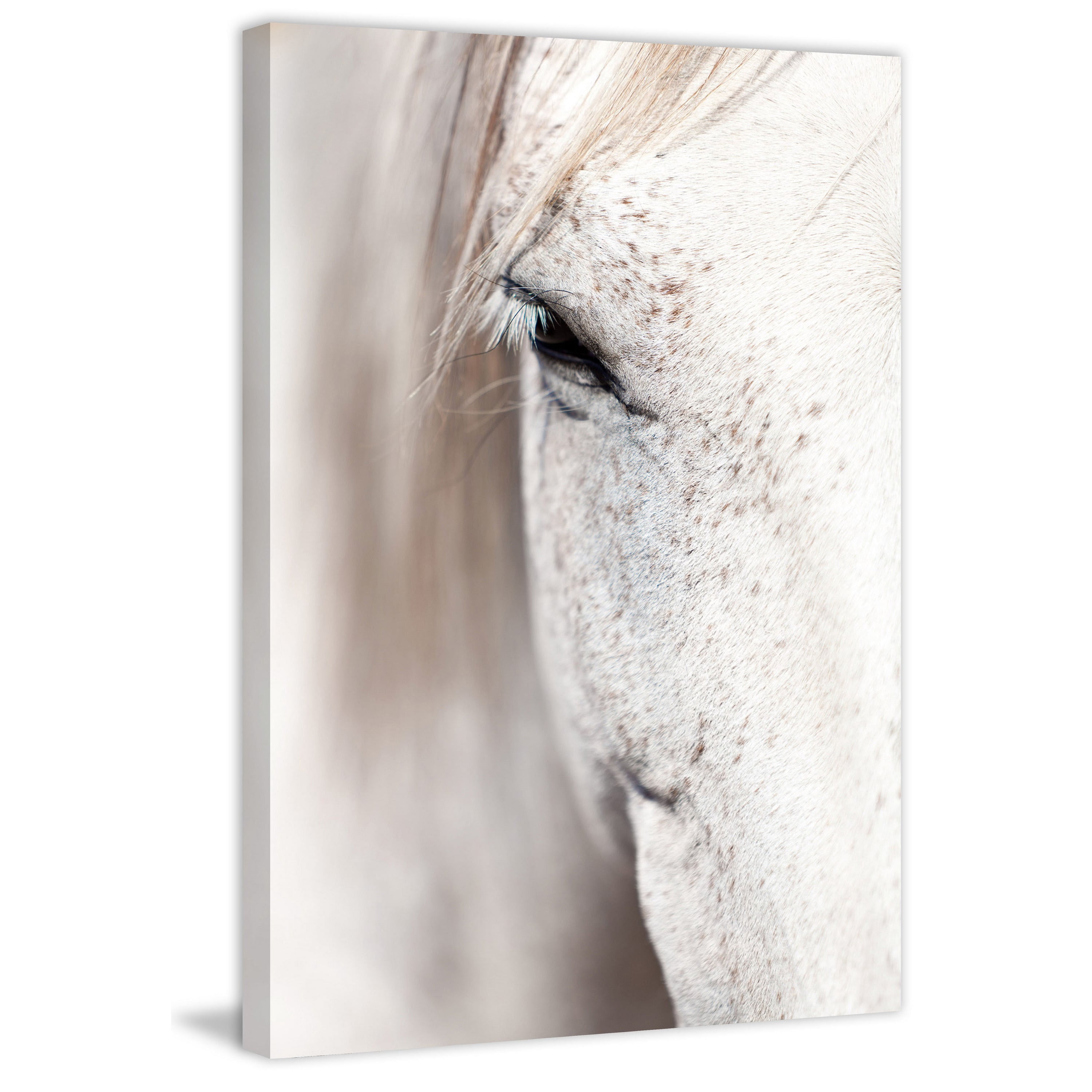 "Horse Eye" Painting Print on Wrapped Canvas