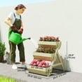thumbnail image 3 of Outsunny 3 Tier Raised Garden Bed Wooden Elevated Planter Box for Flowers, 3 of 10