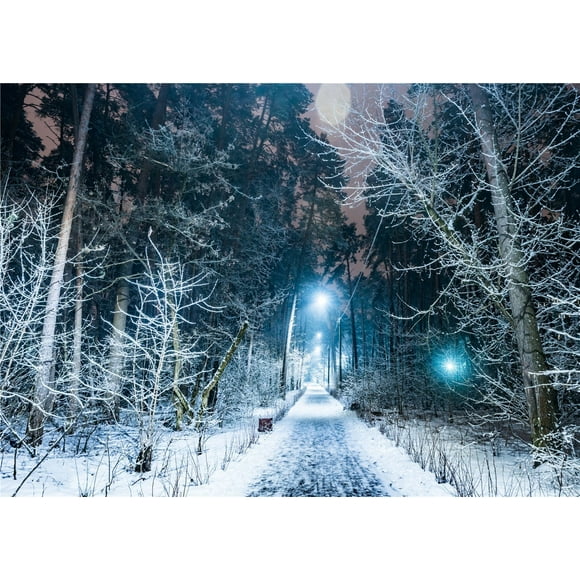 YUSDECOR 5x7ft Winter Backdrops for Photography Frozen Snow Backgrounds Railway Backdrop for Wedding Photo Shooting