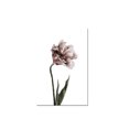 thumbnail image 1 of cuadro decorativo flor lienzo by suma  1 pieza 90 X 60 CM, 1 of 2