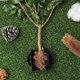 thumbnail image 5 of Kit de Equipo Enraizamiento Plantas Reutilizable 10 Piezas Caja Corte Propagador Ramas Bola CríA, 5 of 5