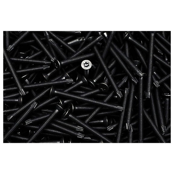 (150) Torx T30 Trailer Deck Floorboard Screw 1/4-20 x 3 Flat Thread Cutting