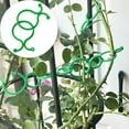 thumbnail image 5 of HomeLife 100Pcs Plant Support Clips Garden Clips Space Saving Tomato Vine Clip Flower Lever Loop Gripper Fixing Clips for Indoor Outdoor Climbing Plants, 5 of 13