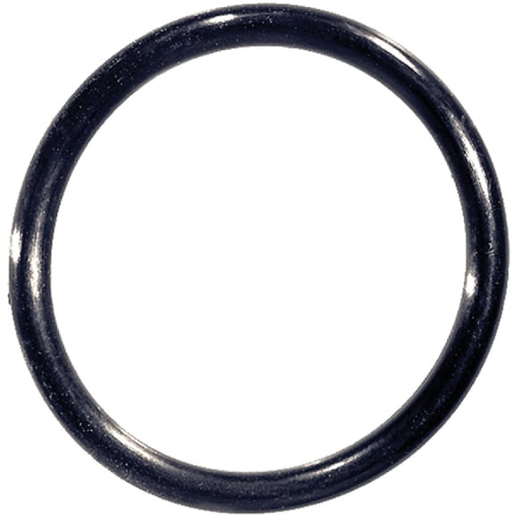 Danco O-Ring 2 " X 1-3/4 " X 1/8 " Nitrile Butadiene Rubber Bagged