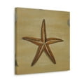 thumbnail image 5 of "Starfish of the Sea" - Canvas, 5 of 25