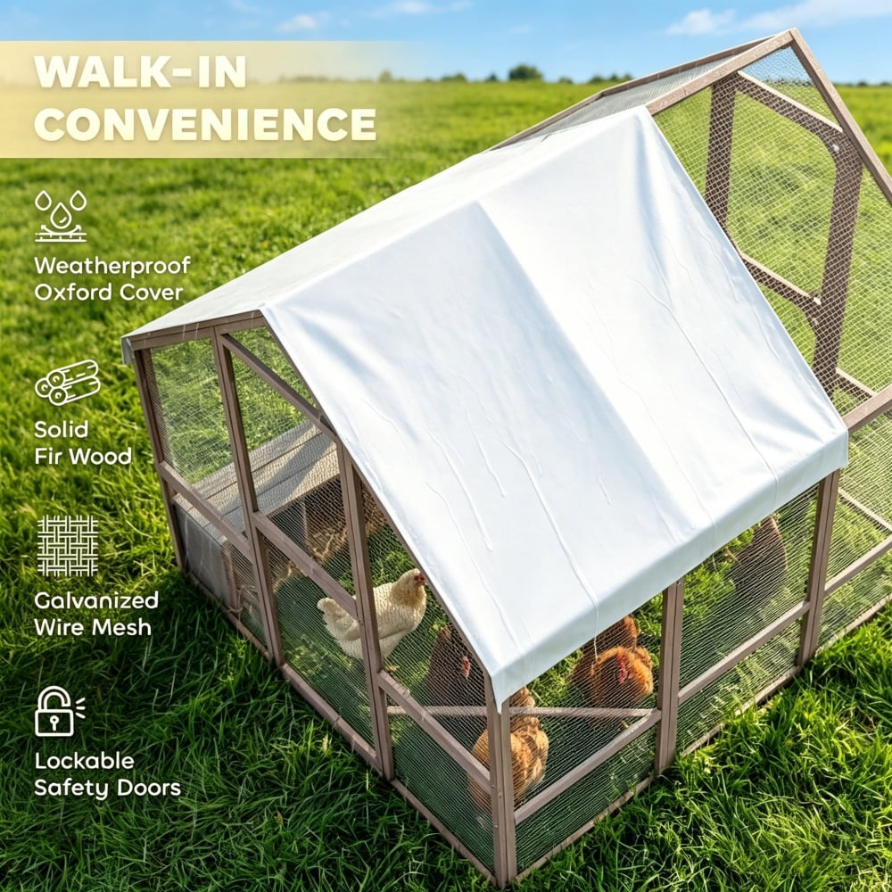 Chicken Coop