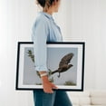 thumbnail image 4 of Cowbird Taking Flight - York Pennsylvania Photography Bird Wildlife Nature Floral Animal Botanical Scenic Black Framed Wall Art Print 18 x 24 inches, 4 of 8