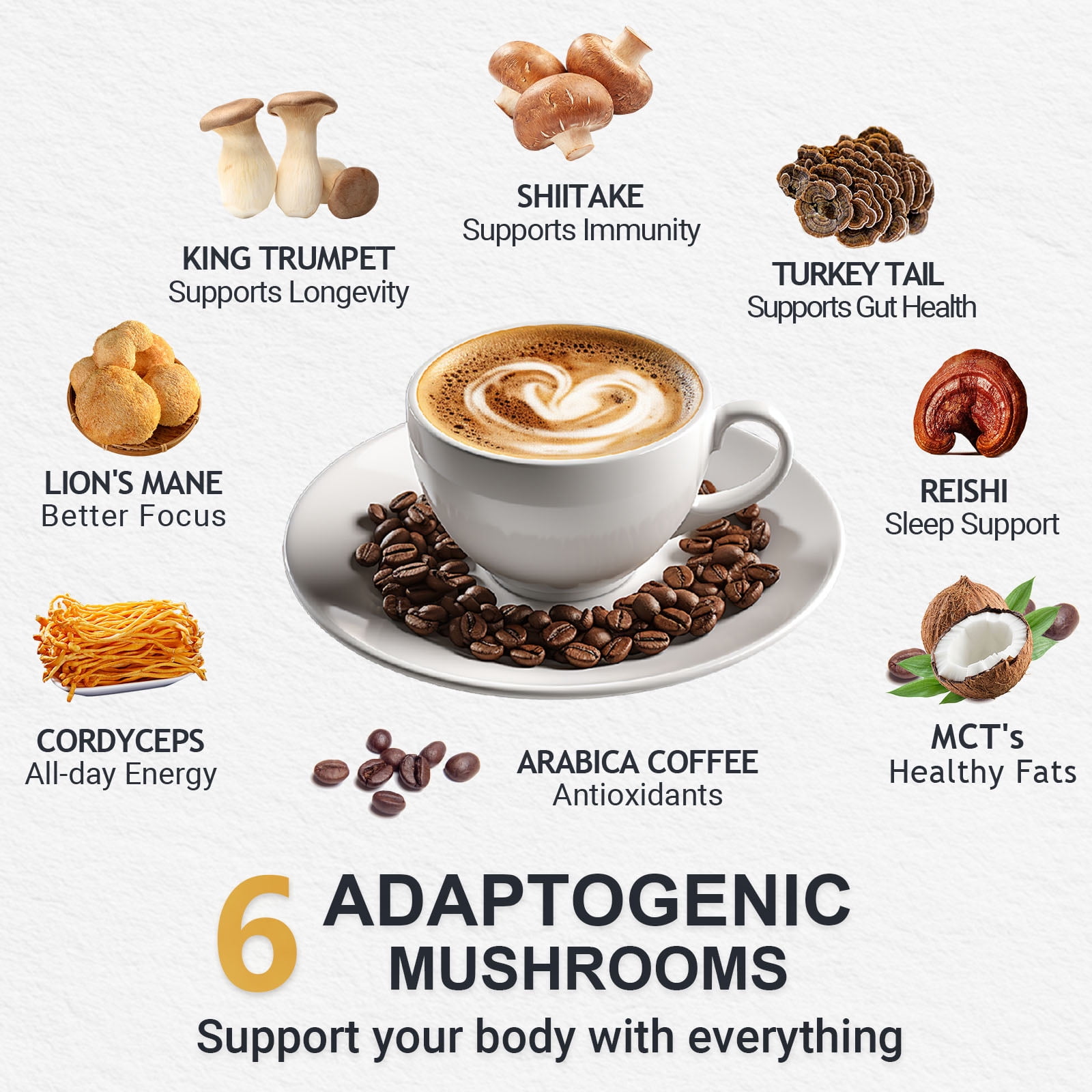 Mushroom Coffee Dark Roast - with 6 Mushrooms & Instant Coffee - Lion’s Mane, Cordyceps - for Energy, Focus, Digestion - 30 Servings