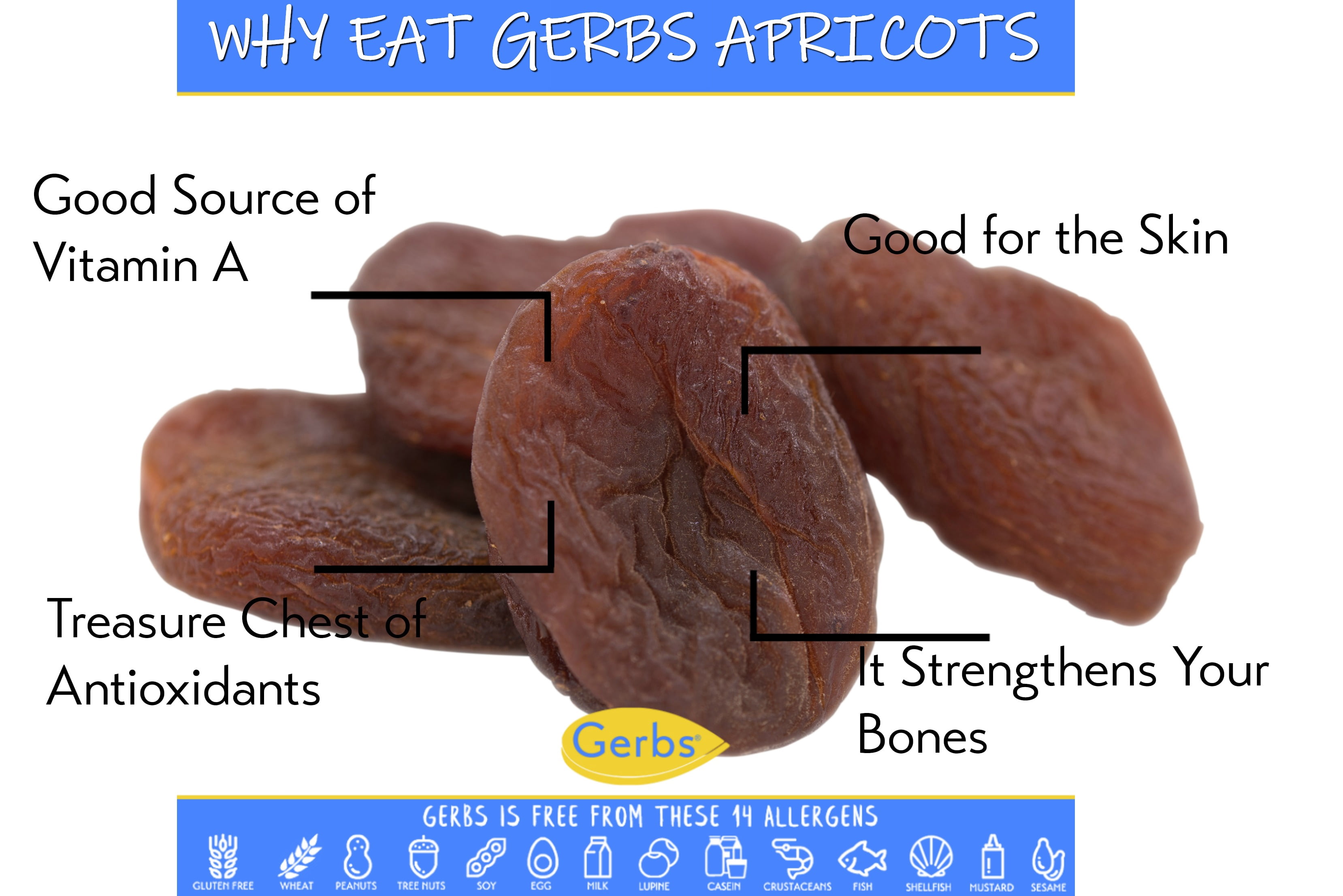 GERBS Dried Apricots, 32 ounce Bag, No Sugar Added, Unsulfured, Preservative, Top 14 Food Allergy Free