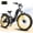 Black, variant on ESKUTE C300R 750W Electric Bike for Adults, 48V 20.8Ah Battery, 26"x4.0" Fat Tire Step-Thru Ebike, 20MPH, 80 Miles, Full Suspension Electric Bicycle, 8-Speed White, UL2849