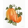 thumbnail image 2 of McKenna, Kathleen Parr 15x18 Black Ornate Wood Framed with Double Matting Museum Art Print Titled - Pumpkin and Vines I, 2 of 4