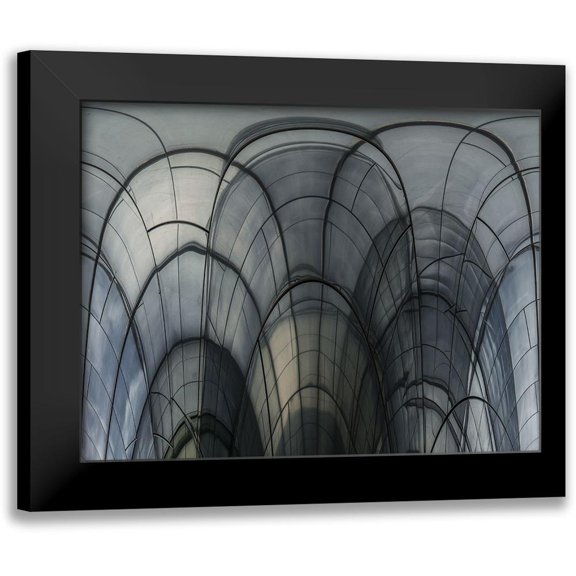 Vangindertael, Luc 14x12 Black Modern Framed Museum Art Print Titled - Cobweb Cathedral