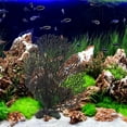 thumbnail image 3 of OHOIOLLA 1Set Delicate Artificial Plant for Aquarium Owners in Black PVC, 3 of 8