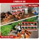 thumbnail image 5 of Historyli Nido para gallinas,de metal,con 10 compartimentos,para gallinero,fácil de recoger y limpiar,duradero,verde,sin patas,color rojo., 5 of 6