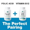 thumbnail image 5 of Earth's Splendor Folic Acid 800 mcg Dietary Supplement, Supports Heart Health, Supports Women's Reproductive Health, Smooth Coated Tablets (800 mcg, 200 Tablets), 5 of 7