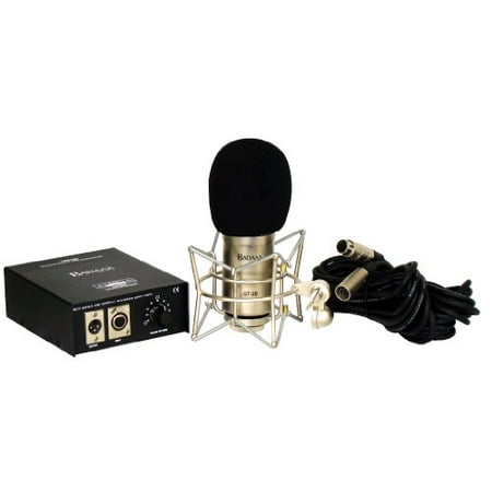 BadAax GT-2B Diaphragm Tube Condenser Microphone (Best Tube Condenser Mic)