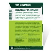 Purely Organic Marketmore 76 Cucumber Seeds (Premium Heirloom, Organic, Non-GMO, Open Pollinated, Vegetable, Full S) - Approx 140 Premium Seeds