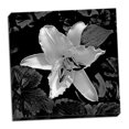 thumbnail image 2 of Gango Home Decor White Lily II by Rita Crane (Ready to Hang); One 24x24in Hand-Stretched Canvas, 2 of 4