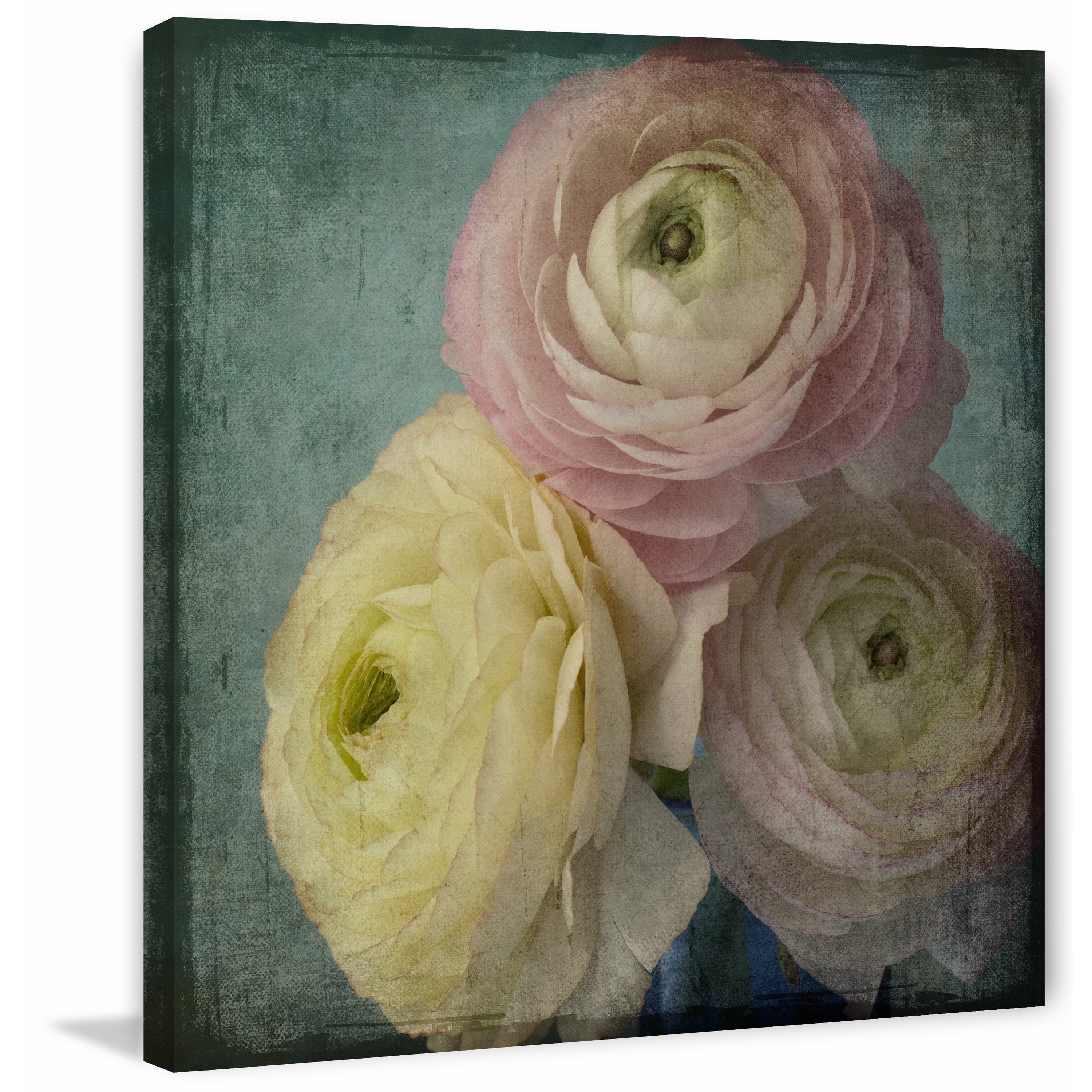 "Pink Ranunculus Vintage" Painting Print on Wrapped Canvas