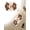 Brown, variant on Flower Pattern Non-Slip Washable Area Rug, Rubber-Backed Indoor Outdoor Floor Mat for Entryway, Kitchen and Bedroom Home Decor