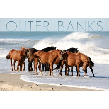 Outer Banks, North Carolina, Horses on Beach (9x12 Wall Art Print, Home Decor)