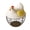 B, variant on Egg Storage Products Colorful Protecting Eggs A Small Highlight In The Kitchen An Ideal Choice For The Family Kitchen.