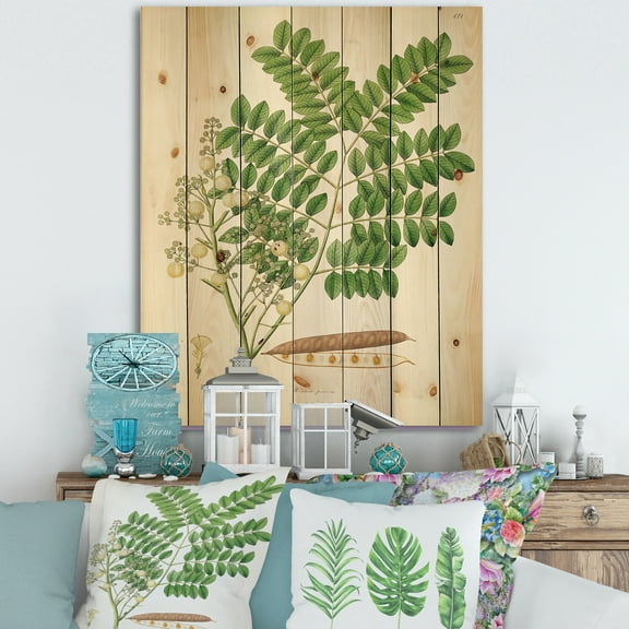 Designart 'Ancient Botanicals VII' Farmhouse Print on Natural Pine Wood
