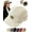 Beige, variant on Vintage Duckbill Streetwear Cap, Japanese Snapback Cap | Mallable Brim Vintage 5-Panel Hat, Breathable Quick-Dry Polyester Snapback , Hip-Hop Casual Japanese Streetwear Snapback Cap