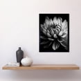 thumbnail image 2 of Macro Close Up Dahlia Flower Black and White Photo Art Print Framed Poster Wall Decor 12x16 inch, 2 of 5