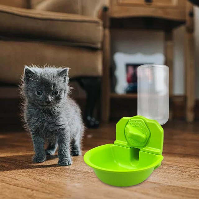 fastboy Automatic Pet Feeder Crate Water Bottle Dog Cat for Rabbit 21cmx15cmx20cm