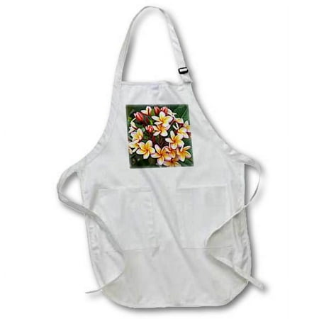 3dRose Frangipani flowers, Jaguar Reef Resort, Belize - SA02 MWI0012 - Mark Williford, Medium Length Apron, 22 by 24-inch, With Pouch Pockets