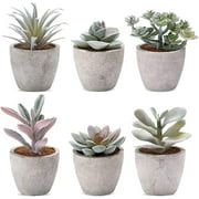 ZMNEW 6 Pack Fake Artificial Succulent Potted, Small Fake Plants Mini Potted for Desk, Shelf Decor for Bathroom, Bedroom, Home, Office