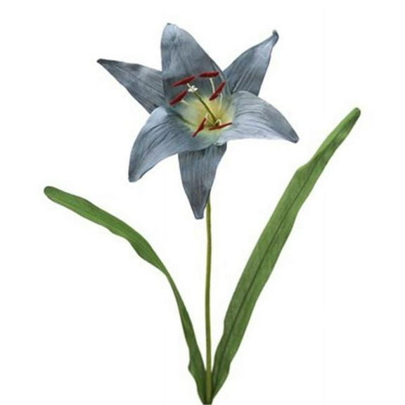 Distinctive Designs DW-988-ANBL DIY Flower Antique Blue Madonna Lily x 1 - Pack of 12