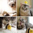thumbnail image 3 of Miayilima Gigwi Cat Toys for Indoor Cats, Interactive Chirping Cat Toys Self Play, Electric Rechargeable Catnip Toys for Cats, Touch Activated Kitten Toy with Feather Tail, Princess Design Hedgehog, 3 of 5