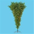 thumbnail image 1 of Kurt S. Adler- Inc. TR2156 Kurt Adler 4.5' Pre-Lit Upside Down Tree, 1 of 1